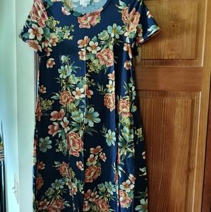 Lularoe XS Jessie Dress